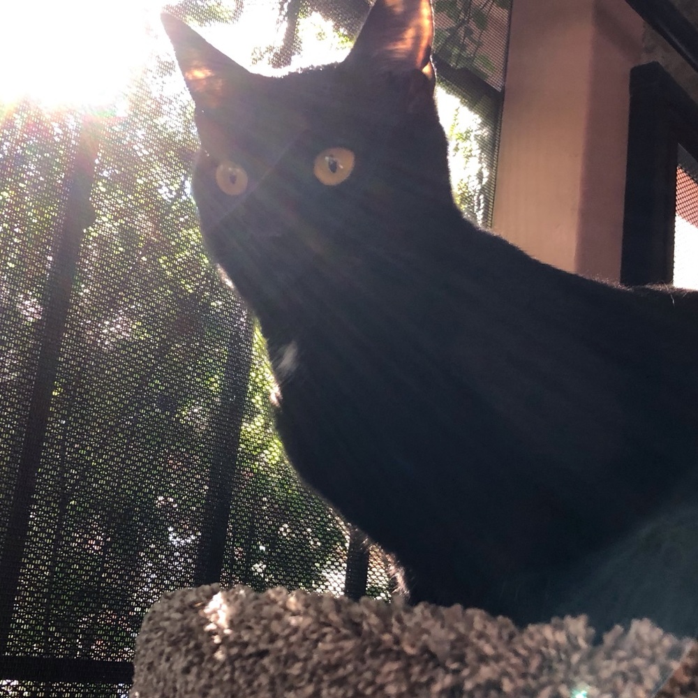 Meet your Posher, Beth